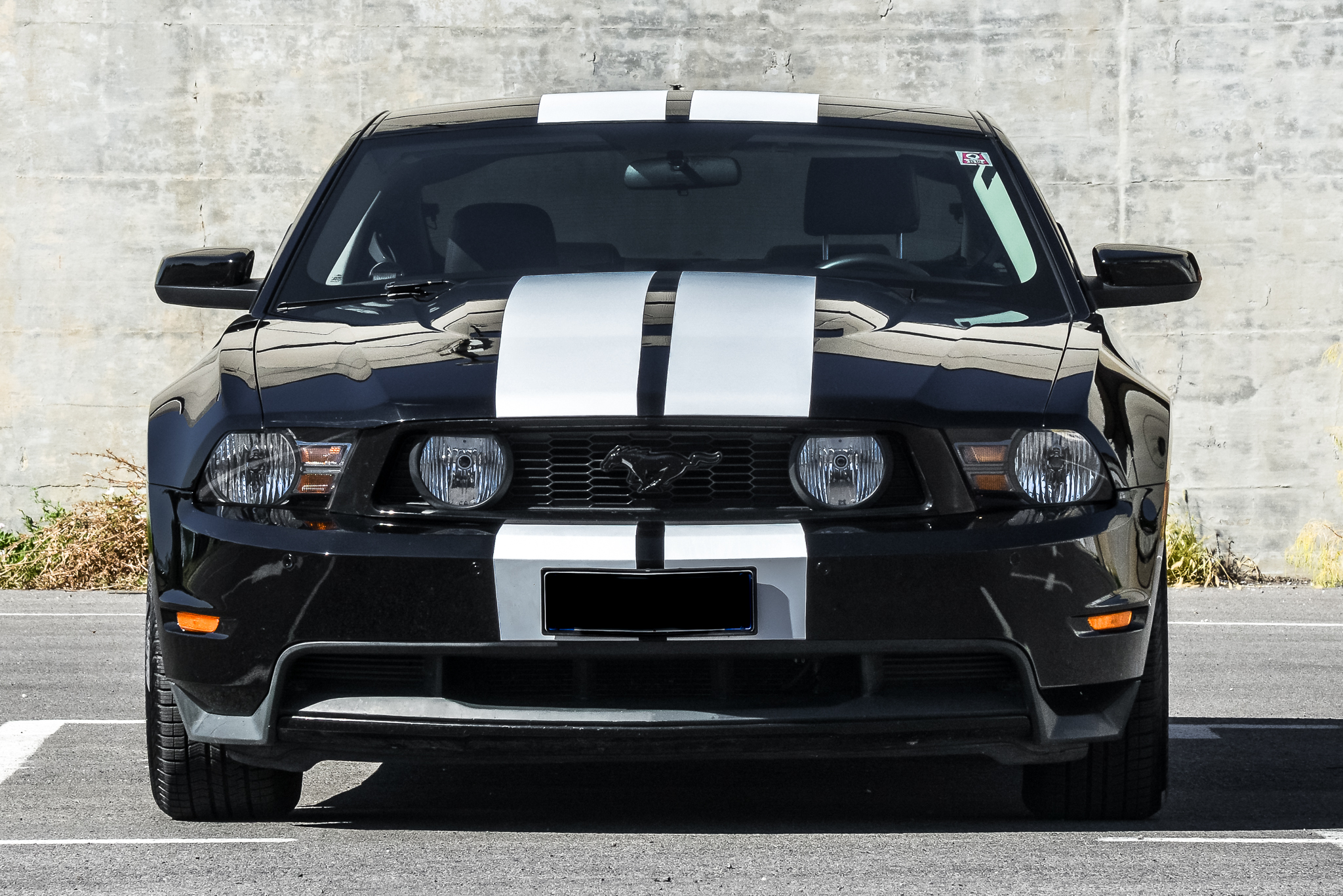 Mustang 4.6